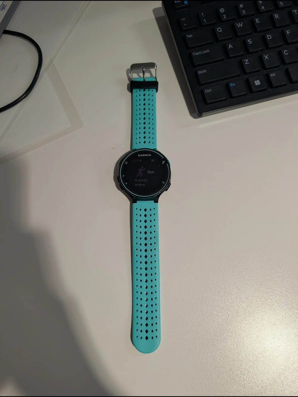 garmin seen light